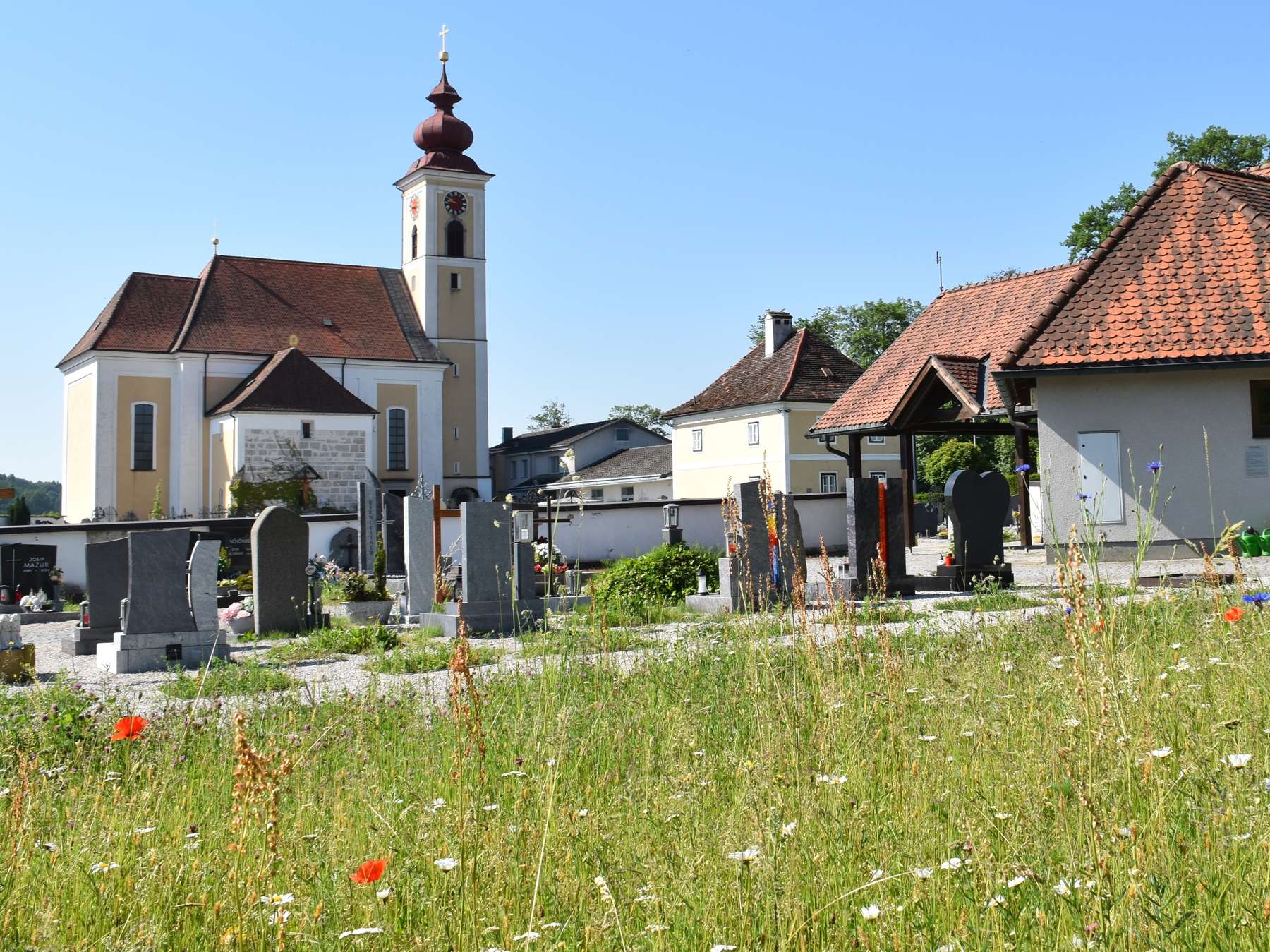 Blühender Friedhof.jpg © Bienenzentrum OÖ