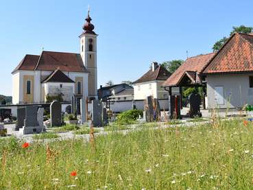 Blühender Friedhof.jpg © Bienenzentrum OÖ