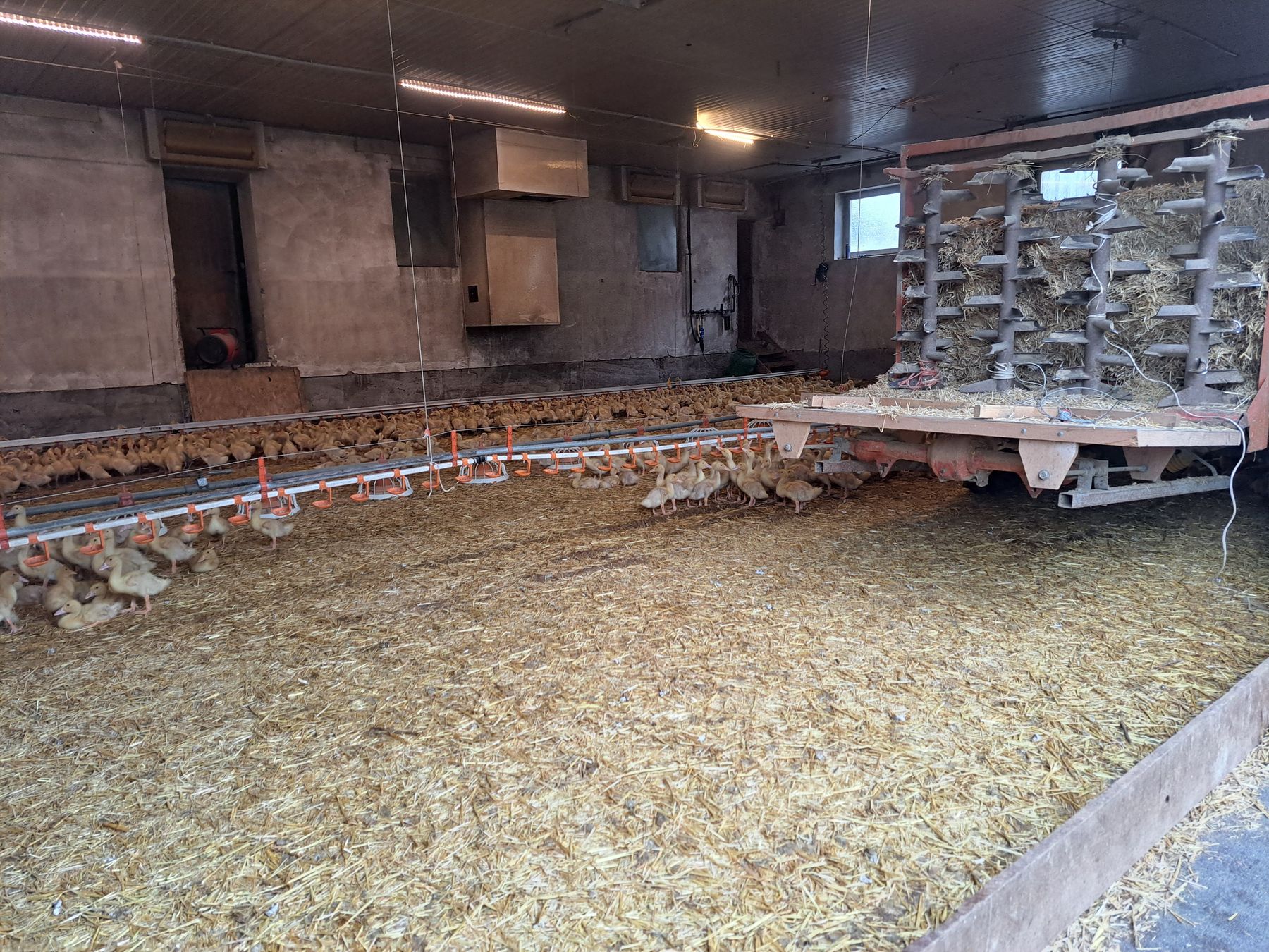 © BWSB