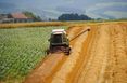 Getreideernte 2016_1_LK OÖ_kl © Landwirtschaftskammer OÖ