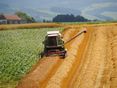 Getreideernte 2016_1_LK OÖ_kl © Landwirtschaftskammer OÖ