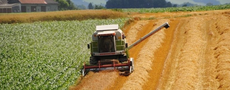 Getreideernte 2016_1_LK OÖ_kl © Landwirtschaftskammer OÖ