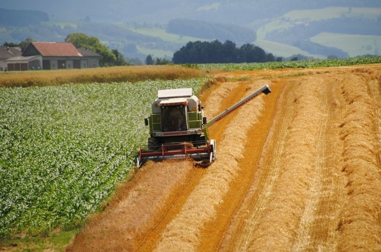 Getreideernte 2016_1_LK OÖ_kl.jpg © Landwirtschaftskammer OÖ