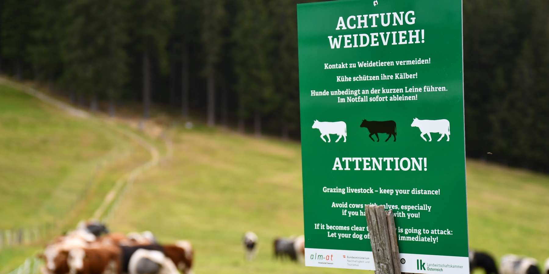 Wahntafeln © KK
