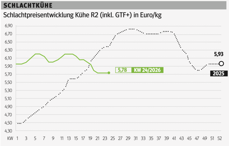 Schlachtkuhgrafik KW 24.png © Grafik RZV
