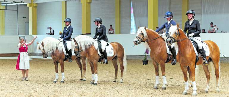 Bundeshengstschau 2026 - Haflinger Dressurquadrille_02.jpg © Viktoria Hainzl