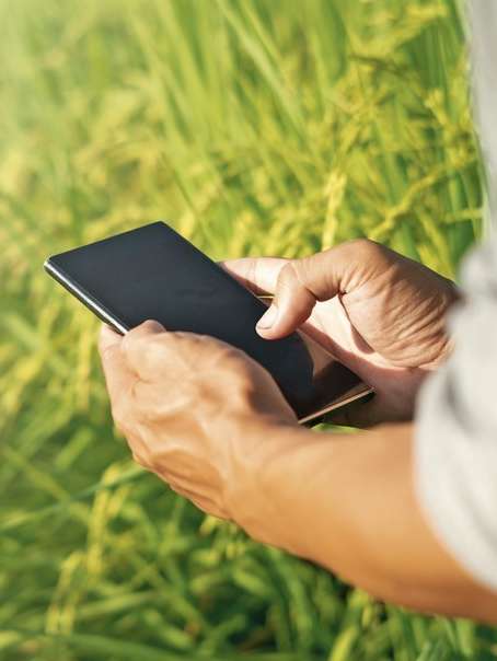 AMA MFA-Foto App am Handy.jpg © AdobeStock/gexphos/BauernJournal