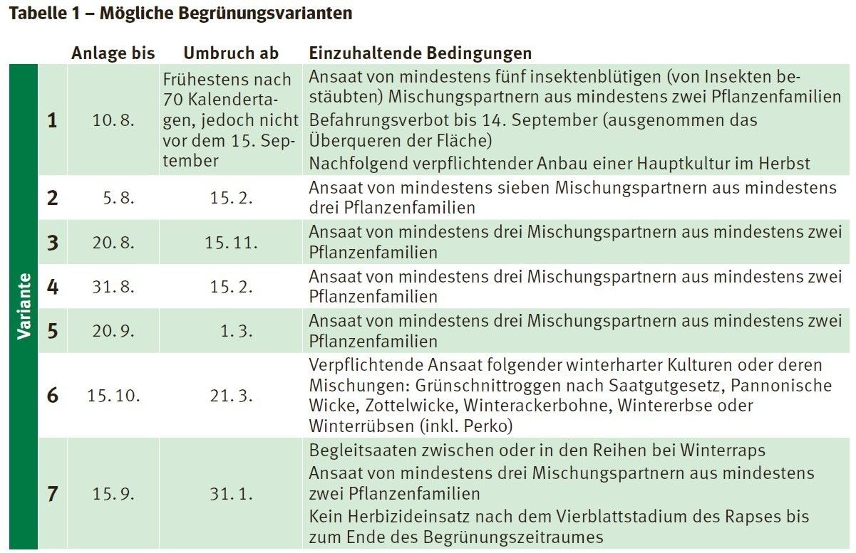 Mögliche Begrünungsvarianten.jpg © LK Kärnten