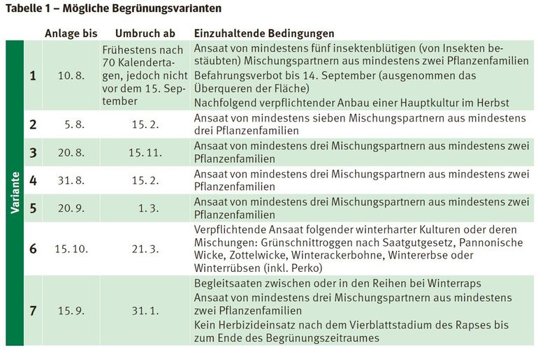 Mögliche Begrünungsvarianten.jpg © LK Kärnten