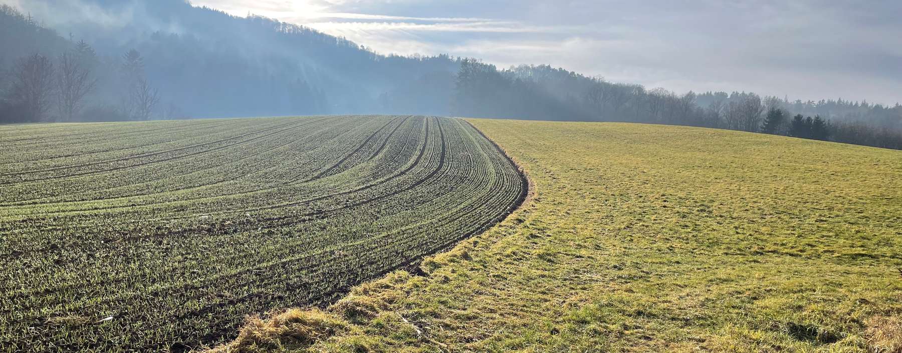 Landwirtschaftliche Fläche .jpg © LKÖ/Bettina Stattler