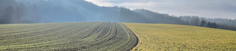 Landwirtschaftliche Fläche © LKÖ/Bettina Stattler