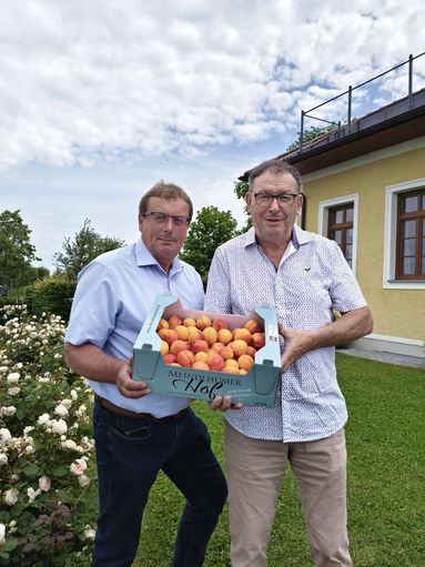 Marillenbauern_Hannes Gruber und Rudi Wiesmayr_LK OÖ.jpg © Landwirtschaftskammer OÖ