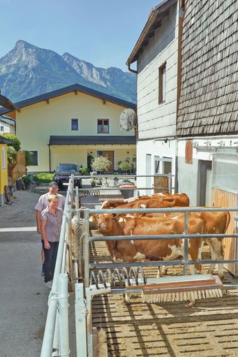 Kalbinnenaufzucht gepaart mit   Pferdestärken .jpg © Hatheier
