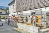 Kalbinnenaufzucht gepaart mit   Pferdestärken .jpg © Hatheier