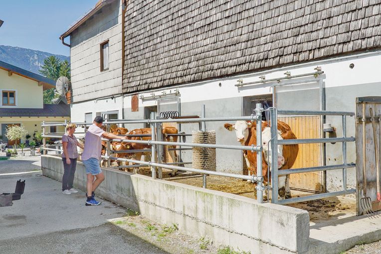 Kalbinnenaufzucht gepaart mit   Pferdestärken .jpg © Hatheier