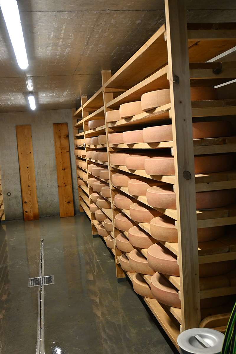 Käsekeller.jpg © Familie Schweizer