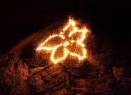 Bergfeuer.jpg © Standl