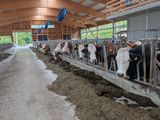 Stallabend_22.jpg © Andrea_Froschauer