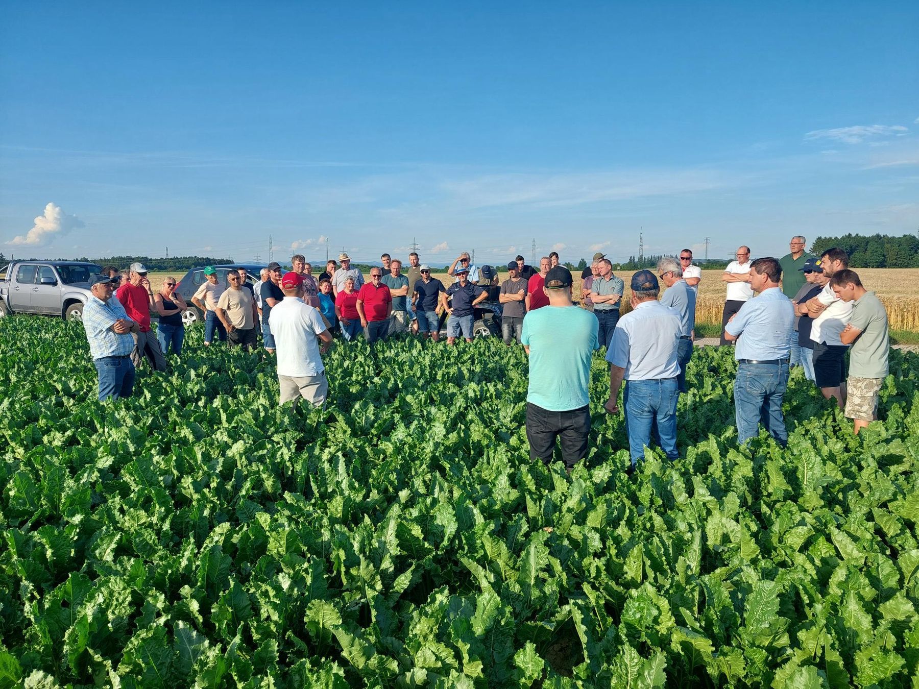Feldtag Ackerbau am Betrieb Landerl in Hargelsberg, 18. Juni 2026