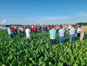 Feldtag Ackerbau am Betrieb Landerl in Hargelsberg, 18. Juni 2026
