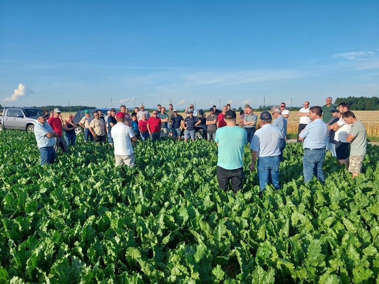 Feldtag Ackerbau am Betrieb Landerl in Hargelsberg, 18. Juni 2026