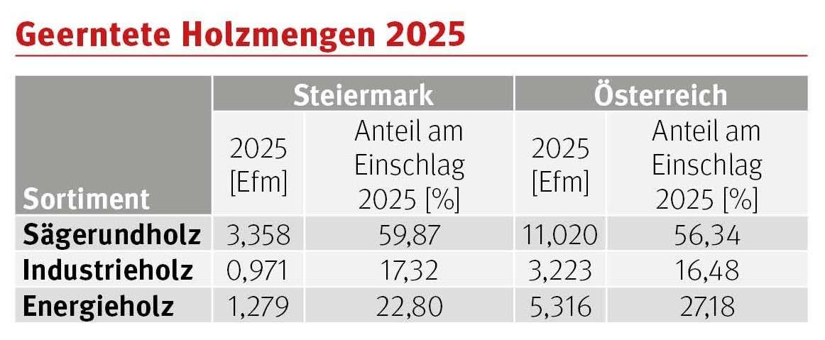Grafik_Holzmenge © LK Stmk