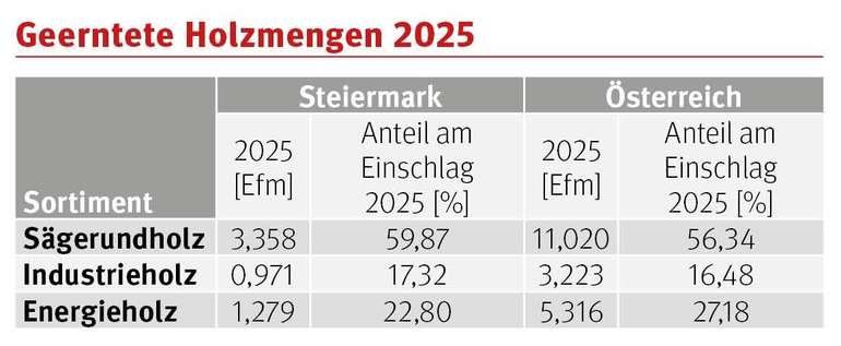 Grafik_Holzmenge © LK Stmk