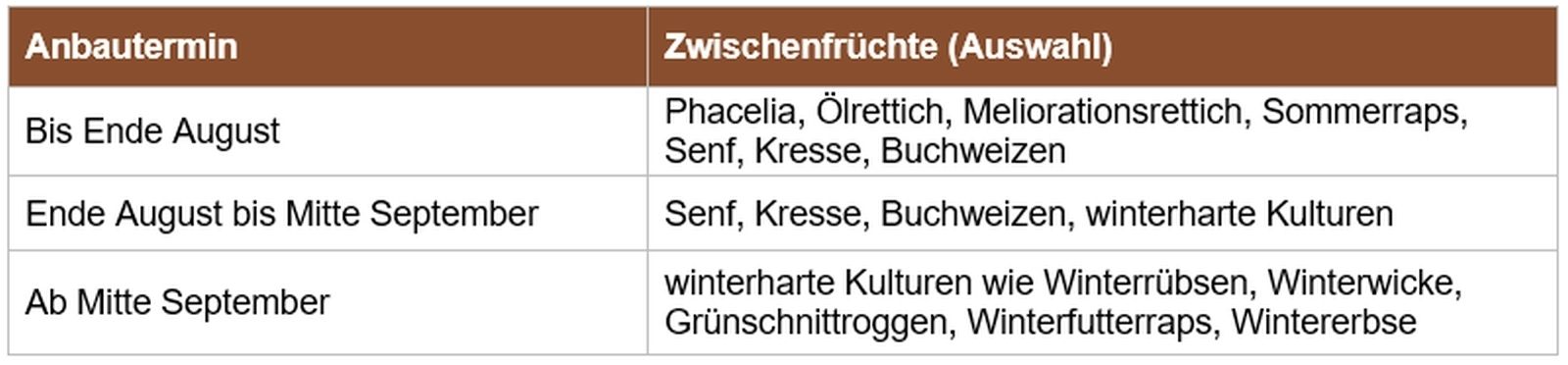 Spätsaatverträgliche Begrünungskulturen.jpg © BWSB