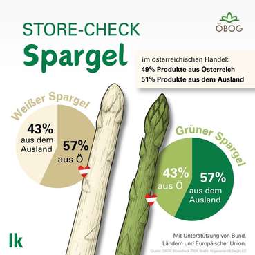 Grafik Store-Check Spargel 2024 © LKÖ/Siegl