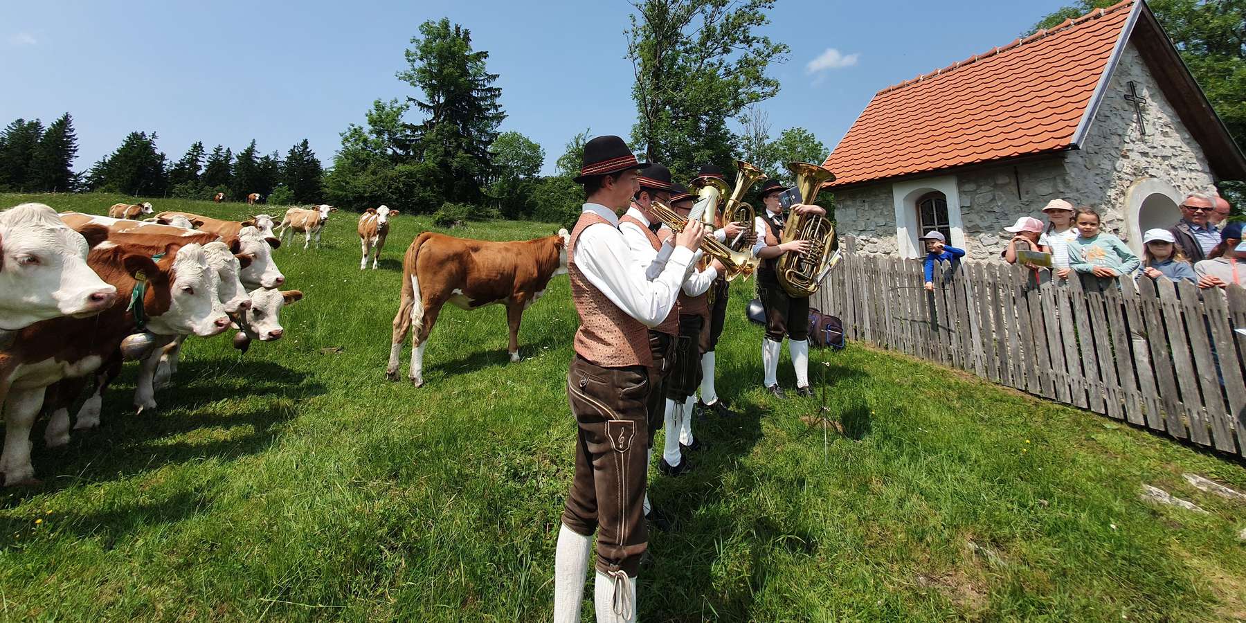 Titelfoto_Almmesse Kapler Alm_c_Pöhacker Katharina.jpg © Paula Pöchlauer-Kozel/LK Niederösterreich