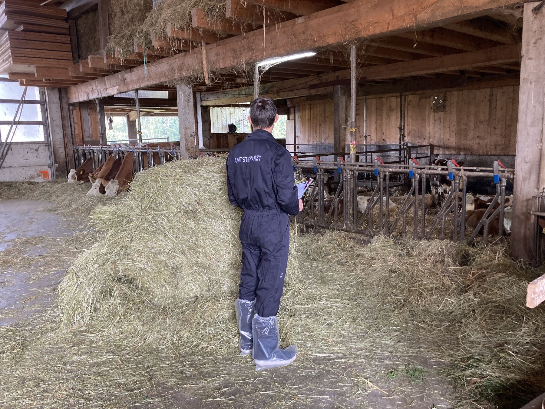 (c)MagThomasKirner.jpg © Mag. Thomas Kirner