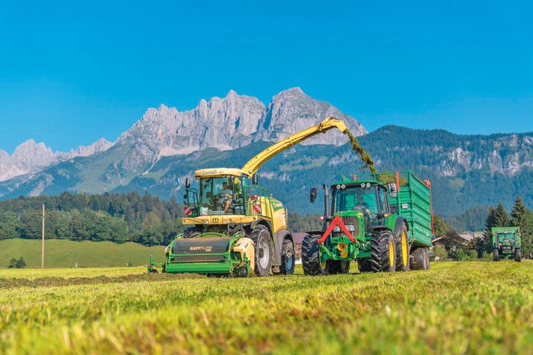 Die Kurzrasenweide schafft uns mehr Raum fürs Leben.jpg © Niederstrasser