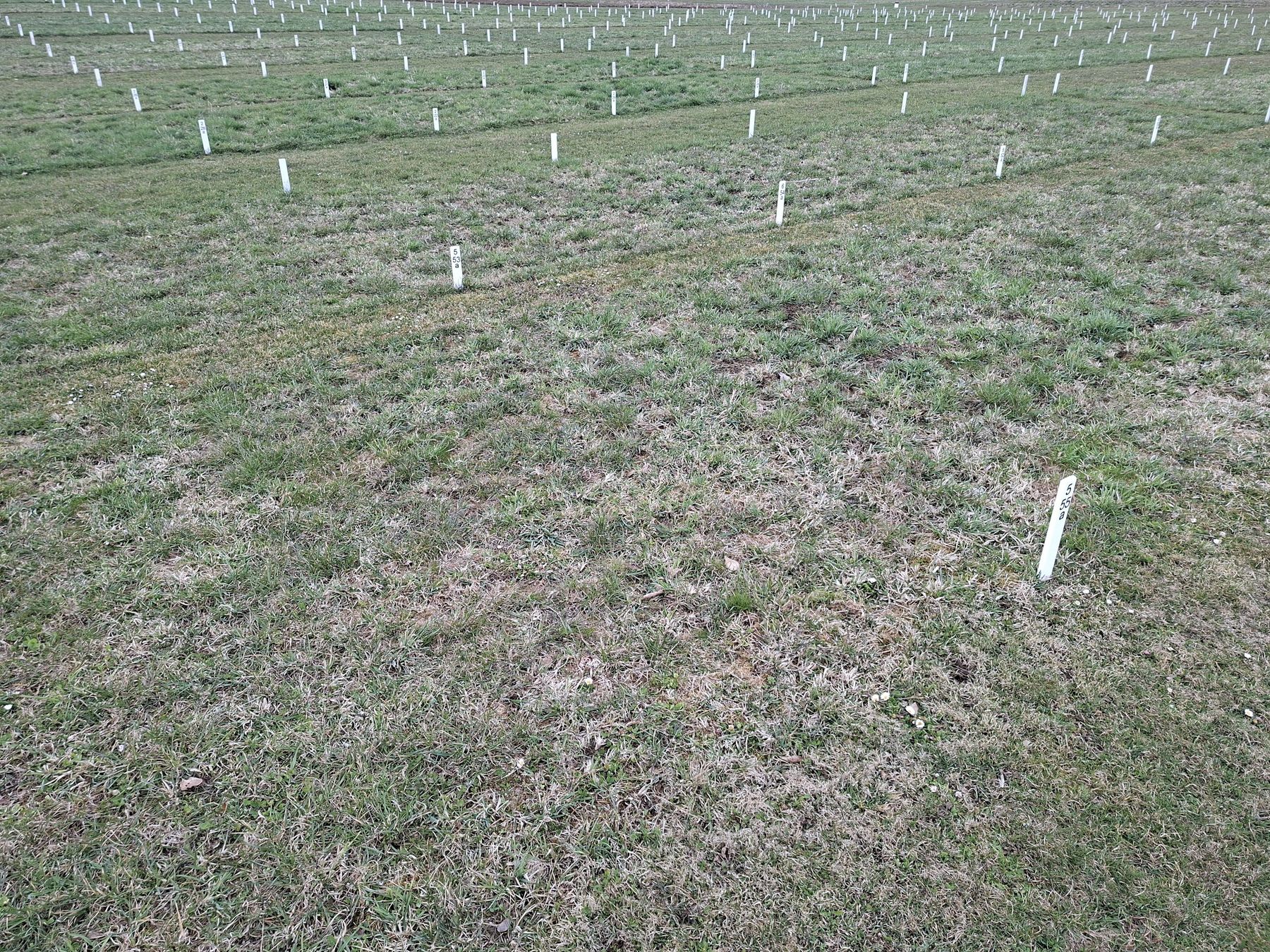Seedmixversuch.jpg © Egger
