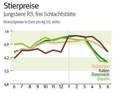NÖ: Ausblick auf den Schlachtstiermarkt im Juli 2026 © LK NÖ