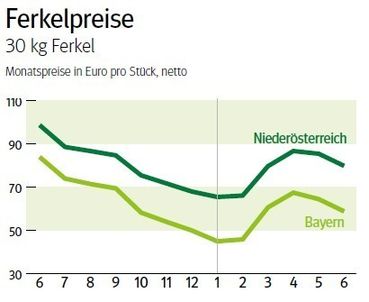 NÖ: Ausblick auf den Ferkelmarkt im Juli 2026 © LK NÖ