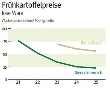 NÖ: Ausblick auf den Frühkartoffelmarkt im Juli 2026 © LK NÖ