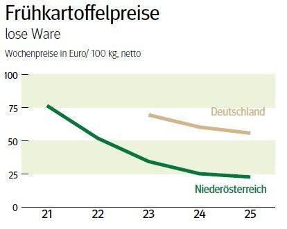 NÖ: Ausblick auf den Frühkartoffelmarkt im Juli 2026 © LK NÖ