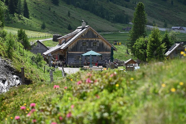 Zauneralm Hütte.jpg © Mooslechner