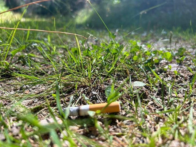 Zigarette Waldbrand.jpg © Nikolaus Bellos/LK Niederösterreich