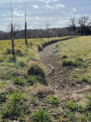 Neuangelegte Agroforststreifen mit Erosionsrinne (c) Winkler.jpg © LKBgld_Winkler