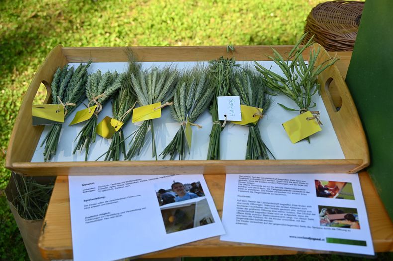 Bäuerinnen-Brunch © Die Bäuerinnen im Bezirk Waidhofen/Thaya Bäuerinnen-Brunch © Die Bäuerinnen im Bezirk Waidhofen/Thaya
