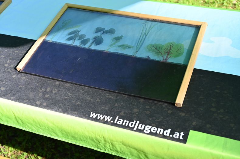 Bäuerinnen-Brunch ©&nbsp;Die Bäuerinnen im Bezirk Waidhofen/Thaya