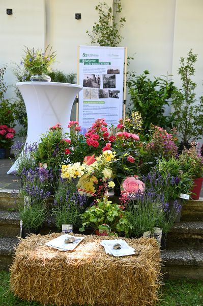 Bäuerinnen-Brunch © Die Bäuerinnen im Bezirk Waidhofen/Thaya Bäuerinnen-Brunch © Die Bäuerinnen im Bezirk Waidhofen/Thaya