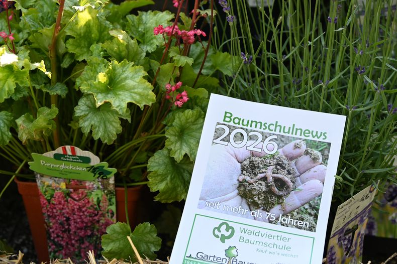 Bäuerinnen-Brunch ©&nbsp;Die Bäuerinnen im Bezirk Waidhofen/Thaya