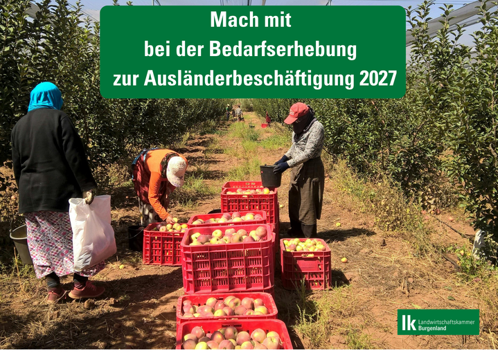 Bedarfserhebung Saisonarbeitskräfte 2027 (1).png © Archiv