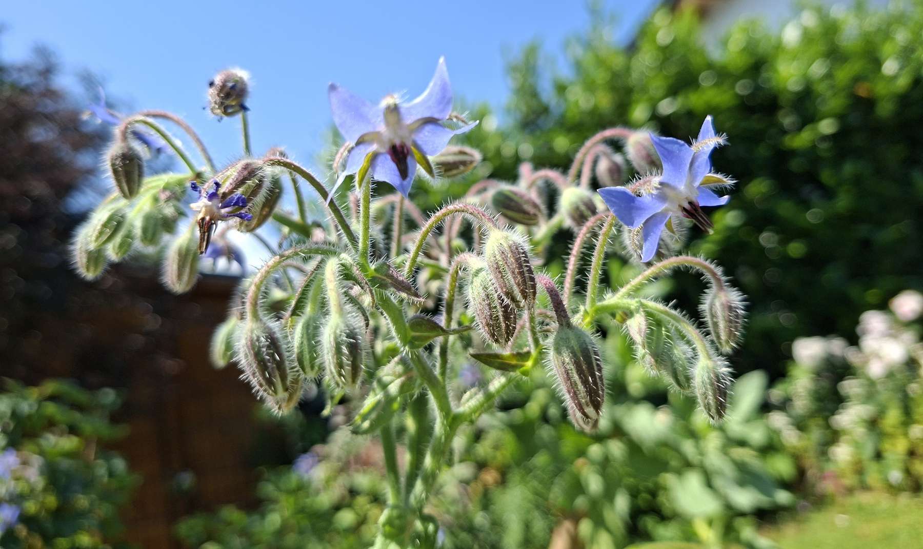 20260624_111627.jpg © BWSB