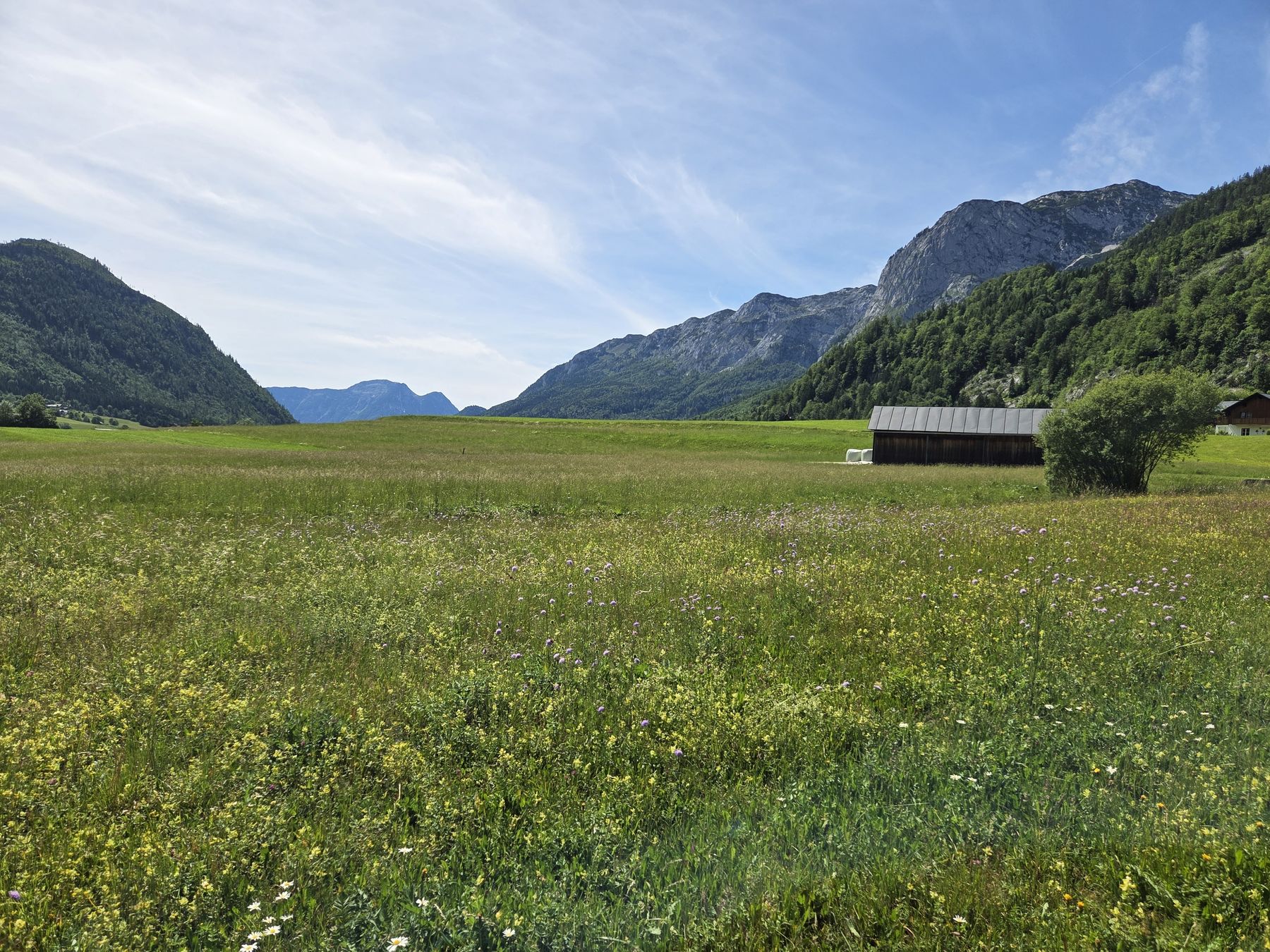 2026_29_30_Landschaft.jpg © DI Leo Weichselbaumer, LK OÖ