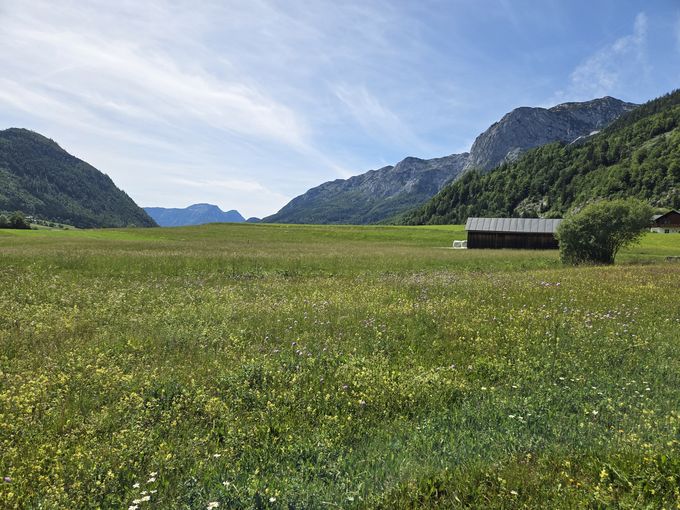 2026_29_30_Landschaft.jpg © DI Leo Weichselbaumer, LK OÖ