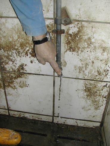 3-Tränkerkontrolle.jpg © LK OÖ/Strasser