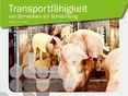 TransportfähigkeitTitelseite © TGD OÖ